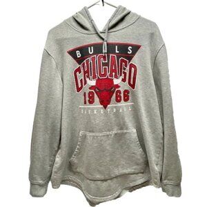 Vintage NBA Chicago Bulls Hoodie Adult XL Gray Y2K Hooded Pullover Sweatshirt GC